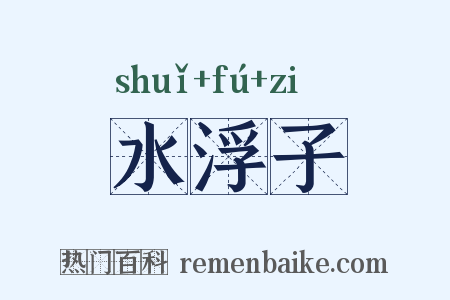 水浮子是什么意思的图片